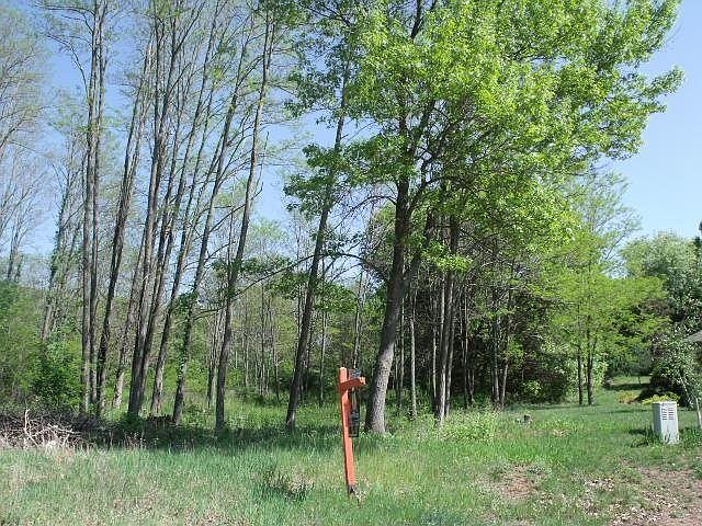 2nd image of LOT 11 Arbor Valley Rd