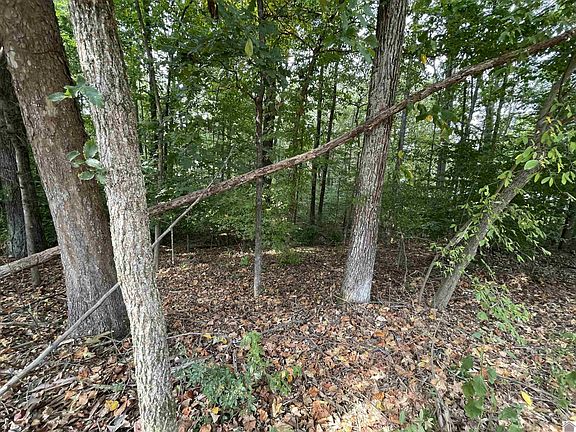 5th image of LOT 10 O'& 11 Rockcastle Lakeshore Dr