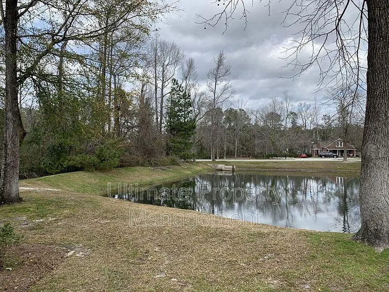 4500 Crawdad Ct #4500 — Photo 17
