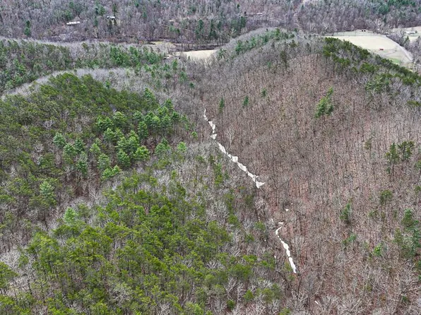 W Morris Hill Rd, Covington, VA 24426