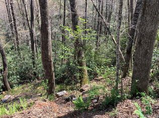 65 Narrows Rd, Sapphire, NC 28774