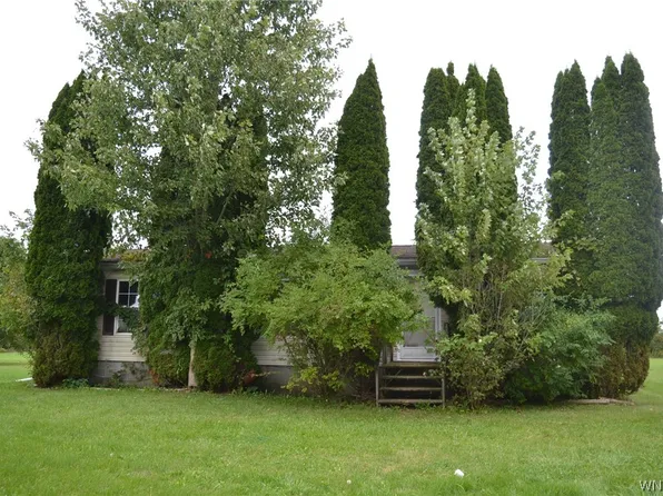 5373 Hill Rd, Albion, NY 14411