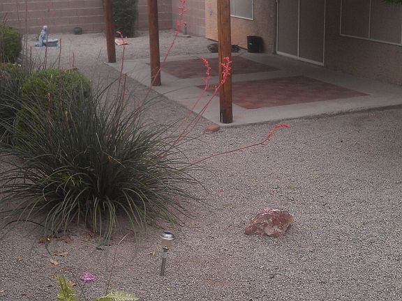 2nd image of 1033 Blue Lantern Dr