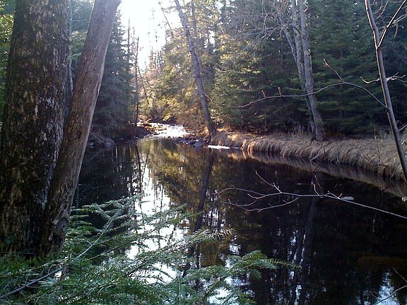 river is coming into pond 