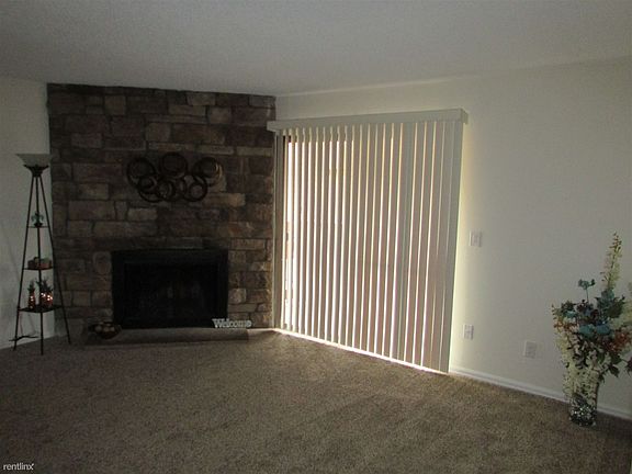 Wood Burning Fireplace