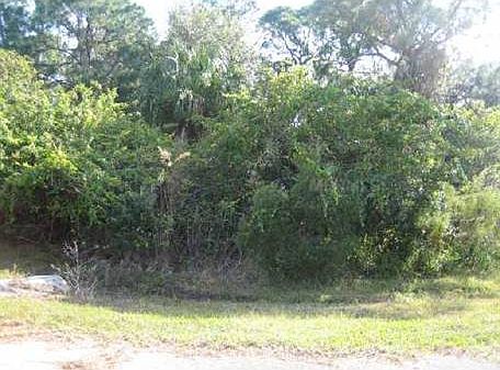1st image of 12253 Toynbee Ln
