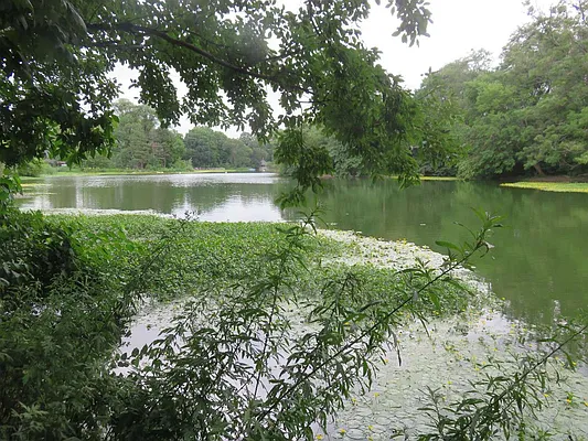 Rented by Space Real Estate | media 45