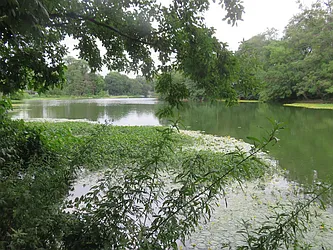 Rented by Space Real Estate