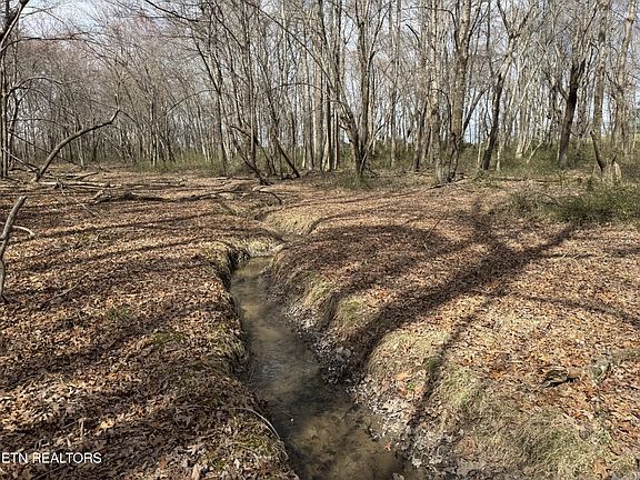 5th image of 1261 Roanoke Rd