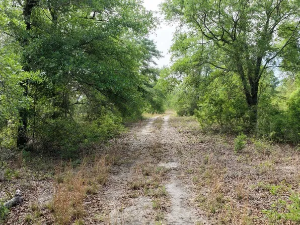 Vacant Ne Cedar Trl, Pinetta, FL 32350