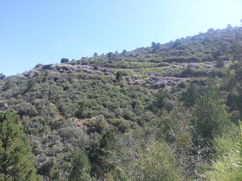 1st image of 1895 Greyhawk Point Dr