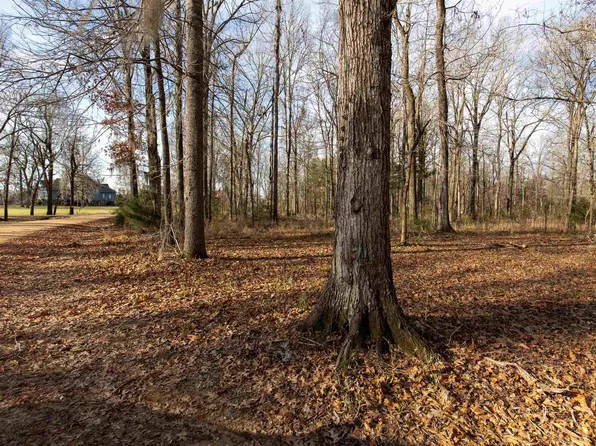 0 River Oaks Landing Cir #45, Orrville, AL 36767