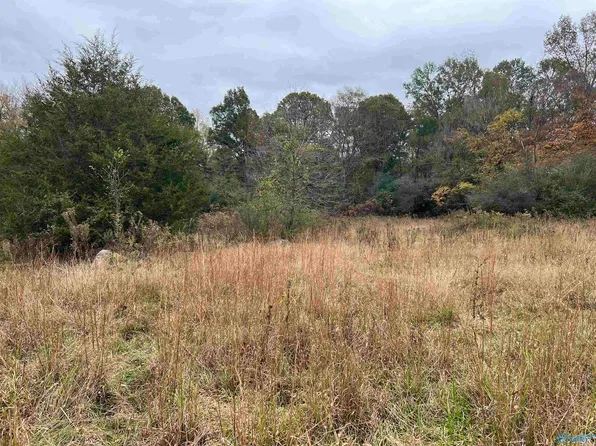 1 Peach Orchard Rd, Menlo, GA 30731