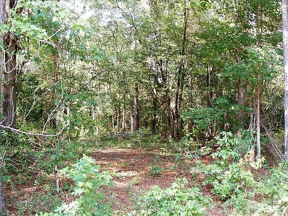 4th image of 0 Spring Chase Lane LOT 27R