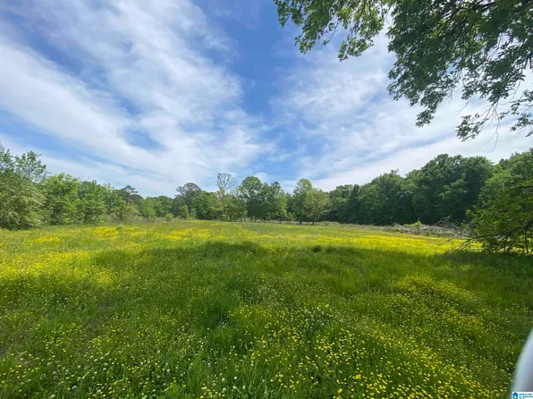 1960 Highway 61, Columbiana, AL 35051