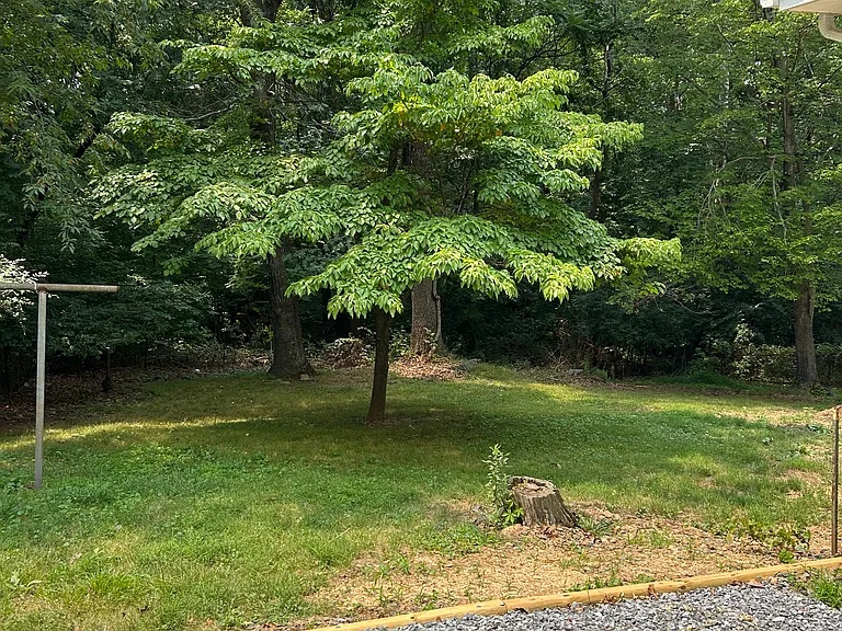 7275 Corville Farm Rd — Photo 28