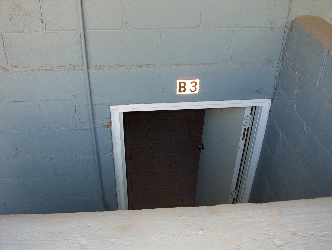 1 bed, 515 sqft, $1,000 — Photo 2
