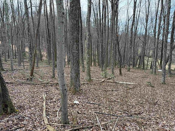 5th image of Mount Hebron Rd