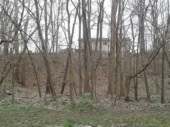 view from creek @ back 