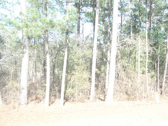 4th image of 160 Sweetbay Dr