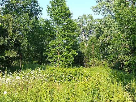 2nd image of 3.0 Acres Emerald Ln