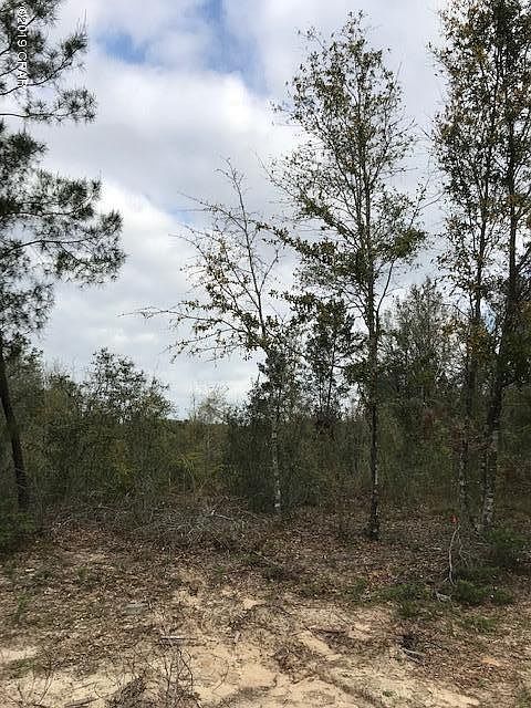 2nd image of 118 Mill Way