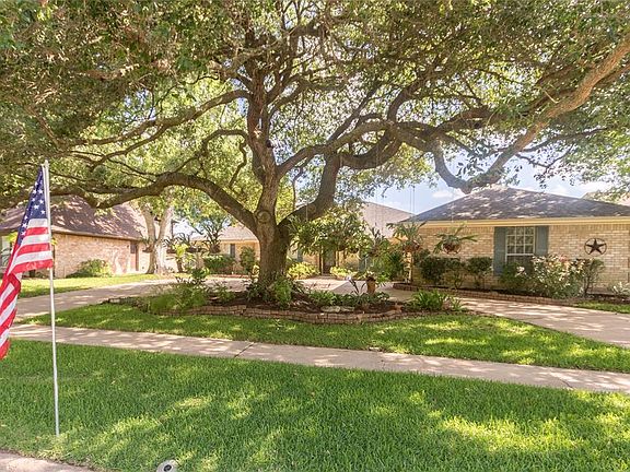 Wow, what an impressive tree that provides shade for your driveway. Helps to keep the cars cooler in the summer