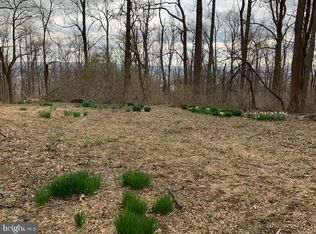 19802 Old Blueridge Rd, Bluemont, VA 20135