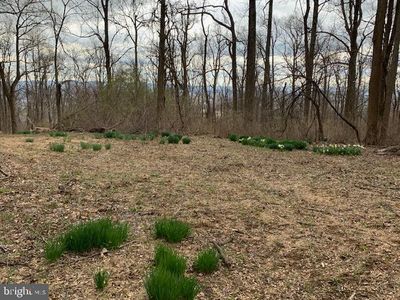 19802 Old Blueridge Rd, Bluemont, VA, 20135