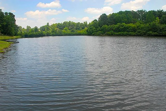 Village Lakes has 4 miniature lakes for kayaking, boating, and fishing. View from the dock behind home.
