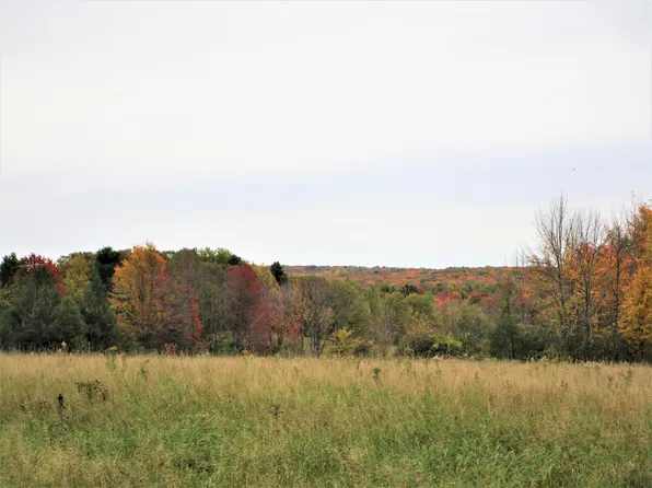 PARCEL 4 90th St, Frederic, WI 54837