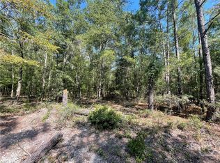 06 OLD AUGUSTA RD, Clyo, GA 31303