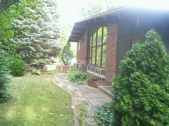easy to maintain back yard