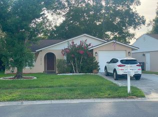 16010 Saddlestring Dr, Tampa, FL 33618