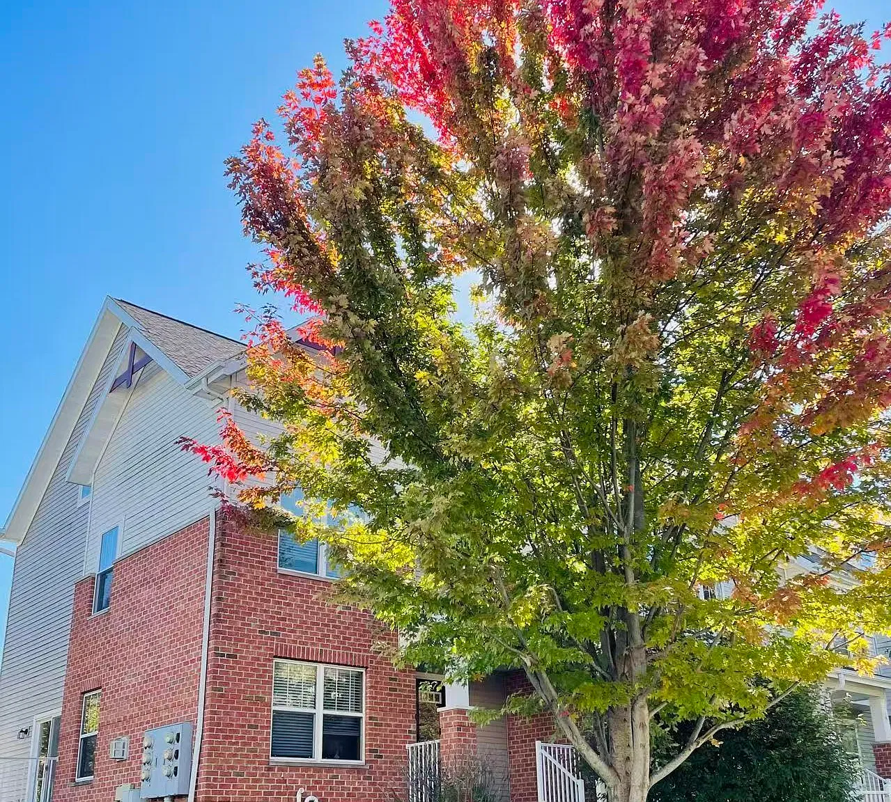 3 bed, 2.5 bath, 1815 sqft, $2,300 — Photo 1