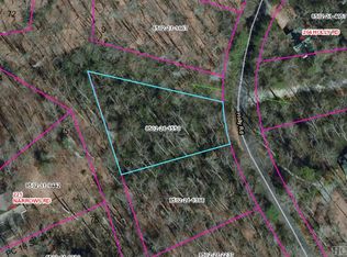 8 Holly Rd, Sapphire, NC 28774