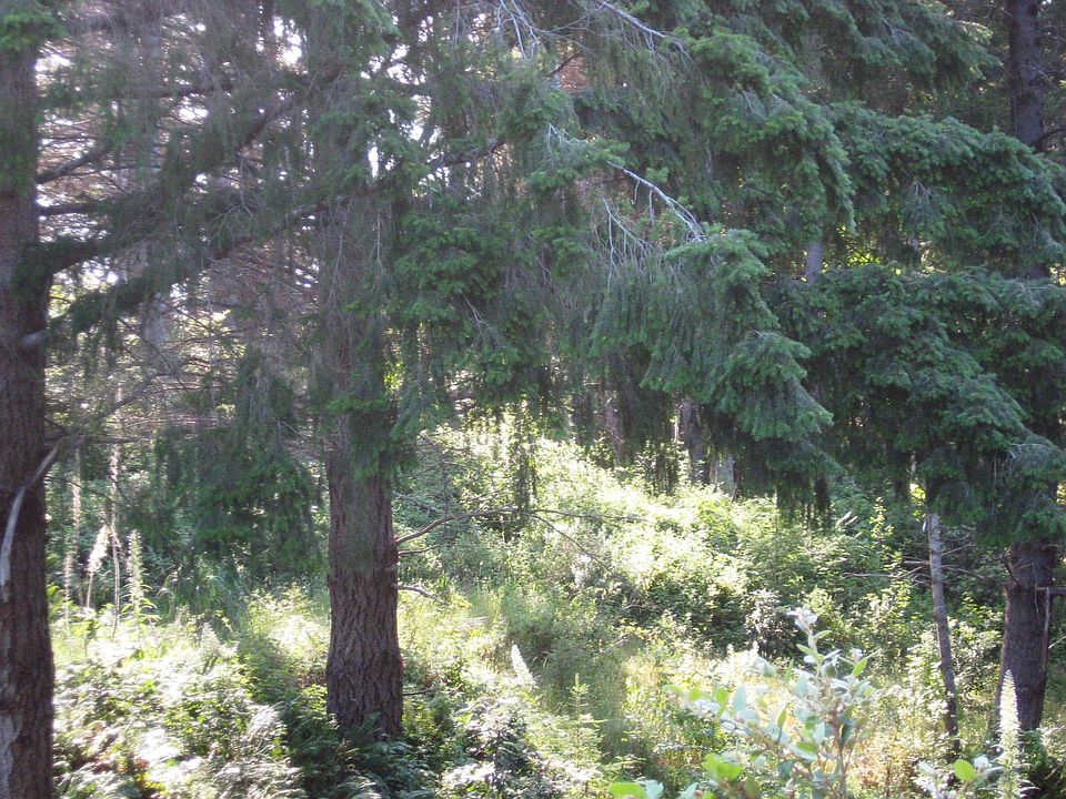 2nd image of 228 Beach Rd