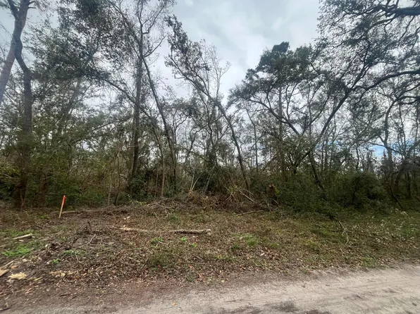 (undisclosed Address), Mayo, FL 32066