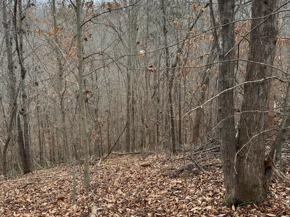 9999 Little Wildcat Creek Rd, Manchester, KY 40962