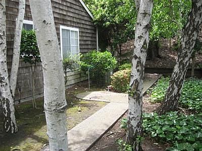 Walkway to backyard