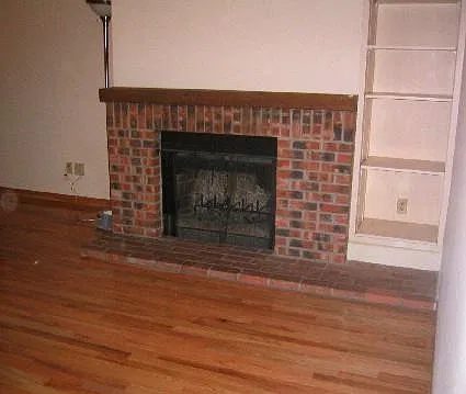 Living room + fireplace