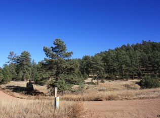 262 Harmon Dr #1, Cotopaxi, CO