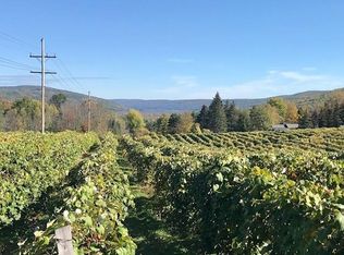 7380 Fish Hatchery Rd, Bath, NY 14810