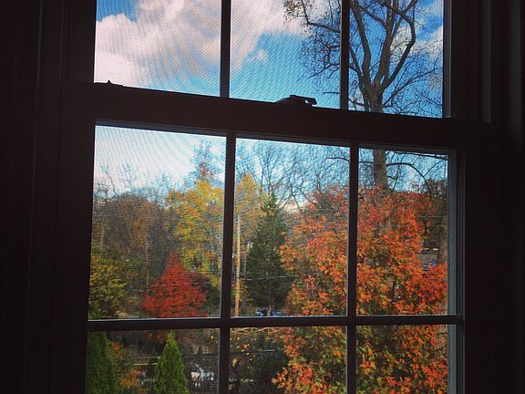 View from back bedroom/offic