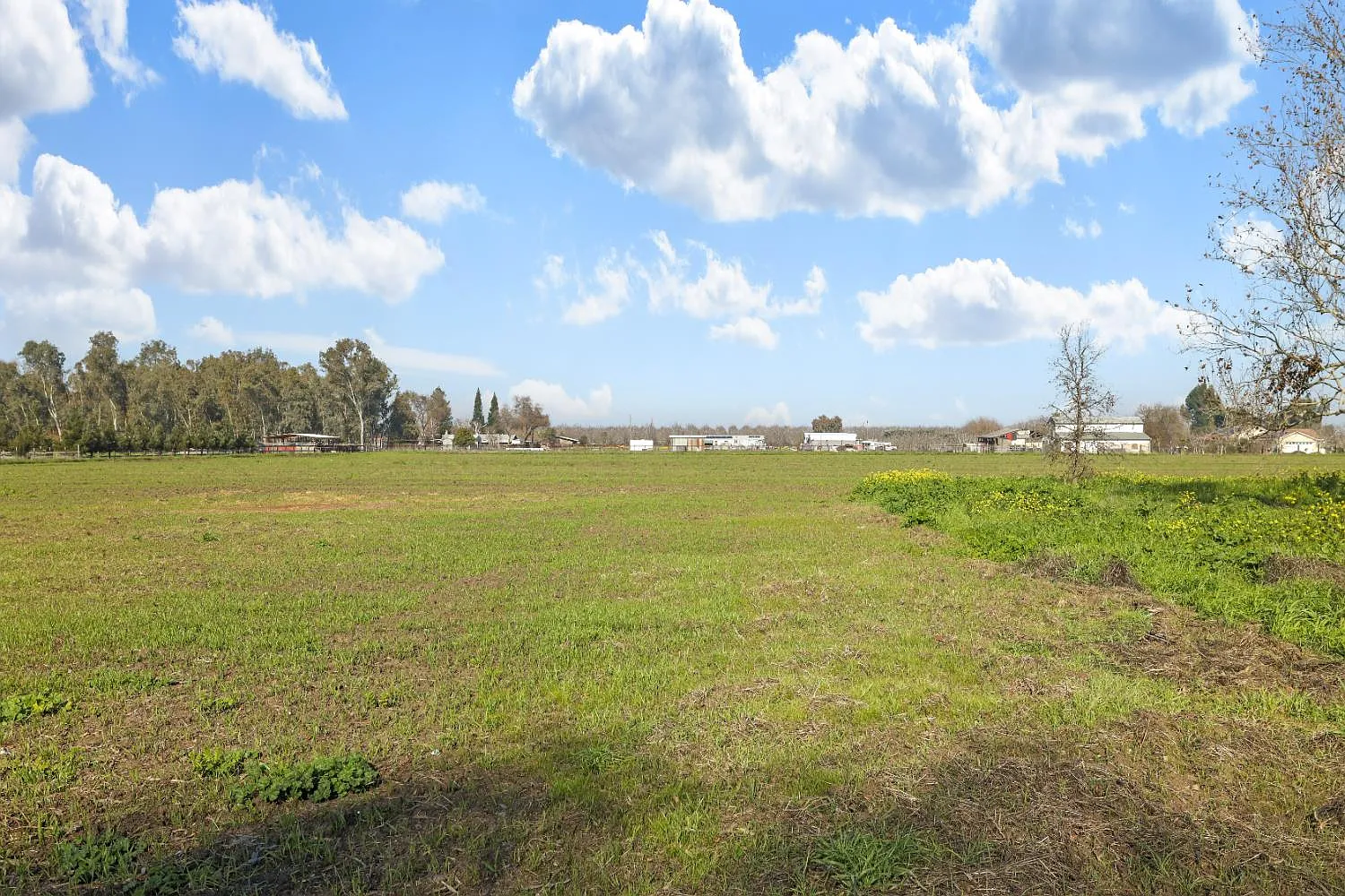11633 Norman Ave photo 1