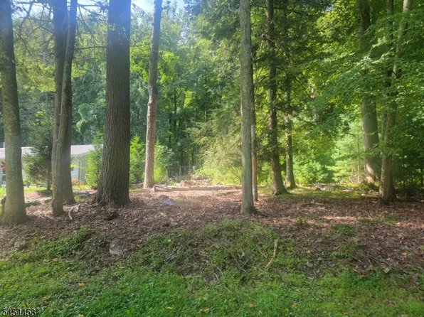 356 Rolling Ridge Rd, Montague Twp., NJ 07827