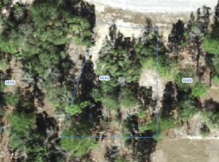 6648 N SAND DRIVE LOT 10, CITRUS SPRINGS, FL 34433