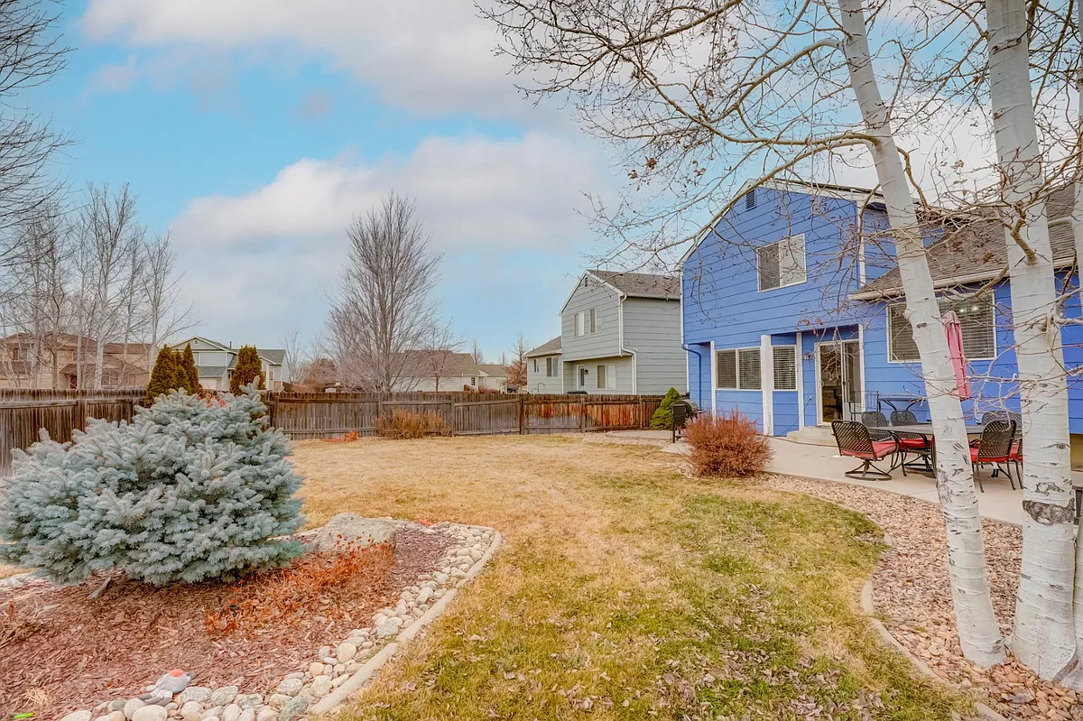 Backyard View - 5397 Wolf Ct