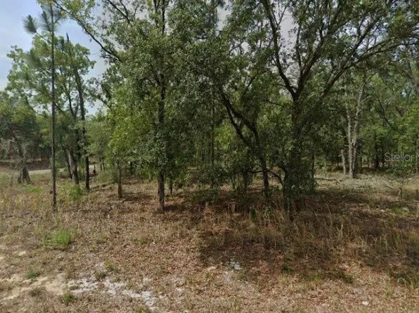 1592 W Swanson Dr #9, Dunnellon, FL 34434