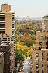 Rented by Nest Seekers International